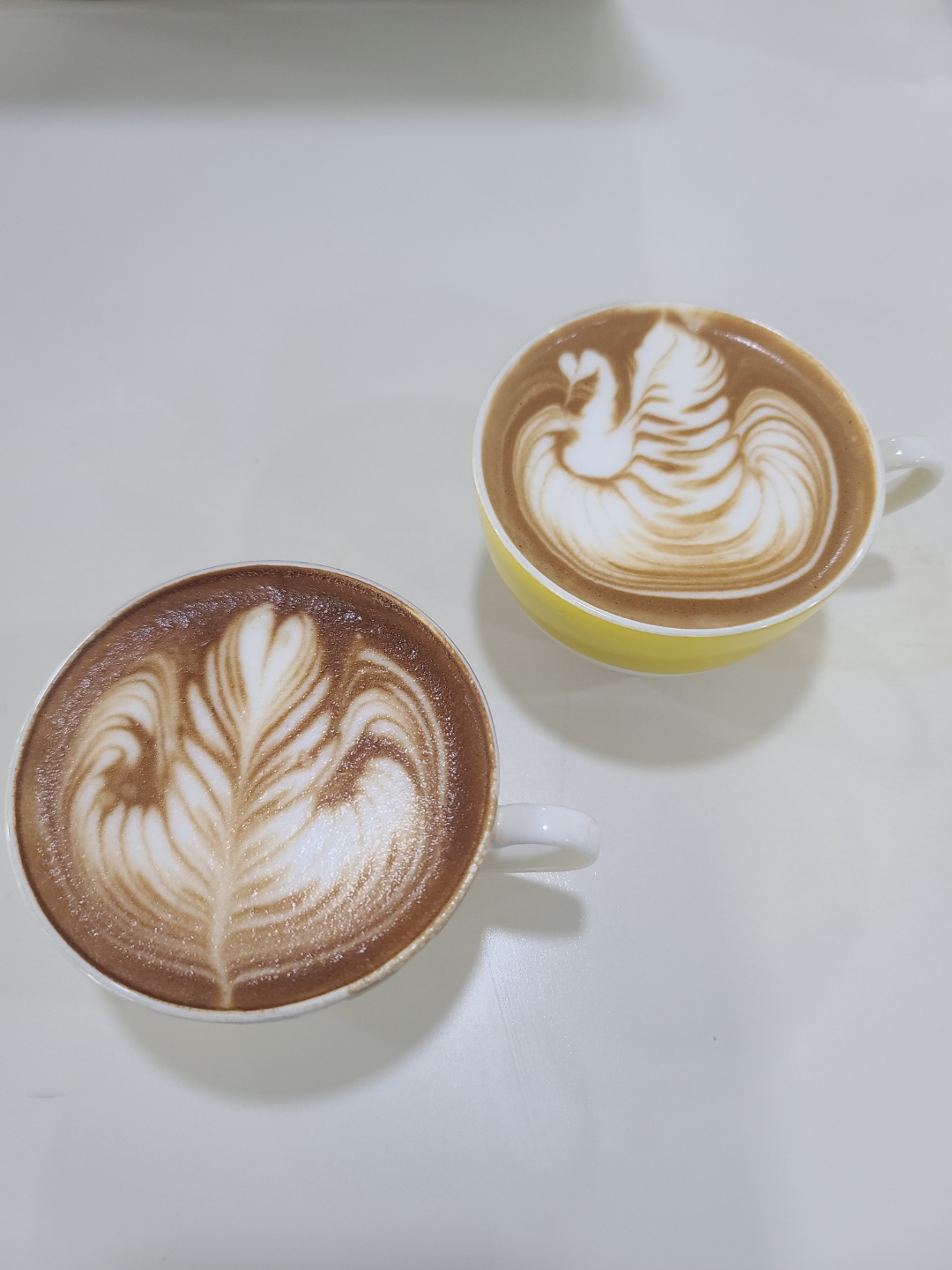 18518_copy_18618_2950055133_8QjmAJq0_a1c549bcc817ca8e9e2f00e7b548b041f848f598.jpg 이미지크게보기