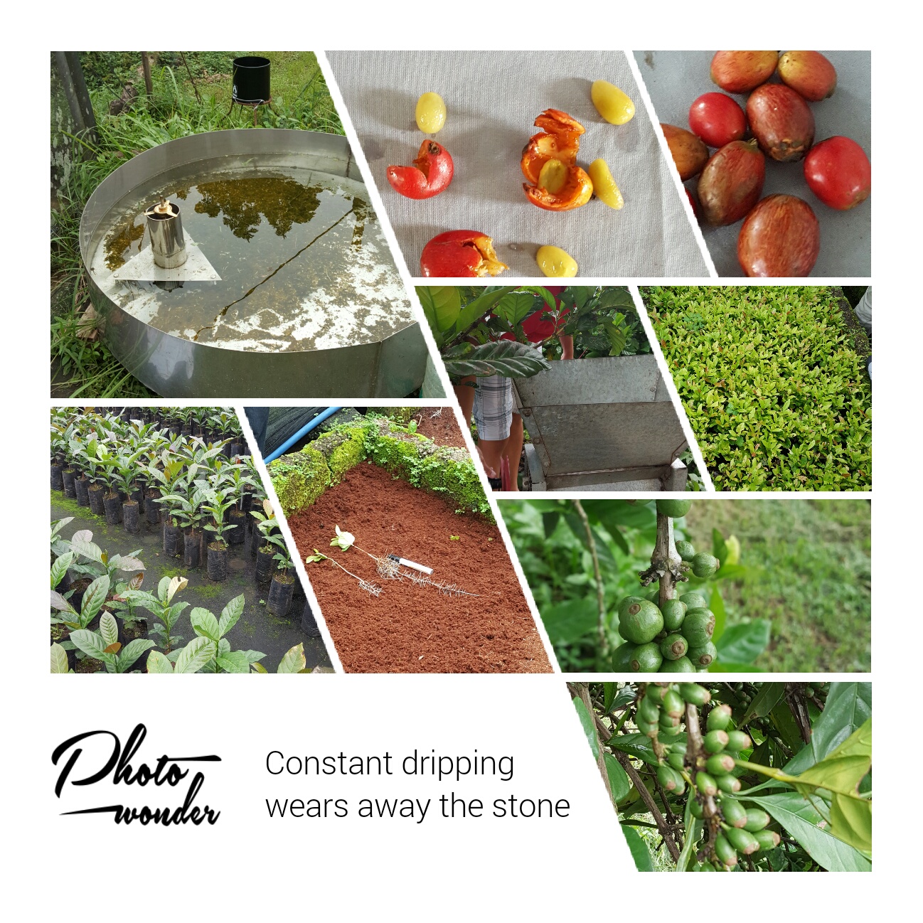 1948697120_P1jvC4Eh_c671bc2c5f71d904924232c21c30a997845e8d2a.jpg 이미지크게보기