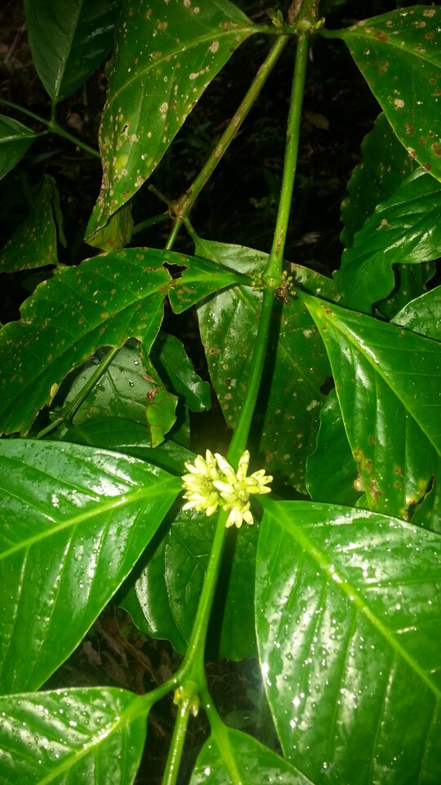 1948697120_QzvKc6P4_746f29ce81df12ba0a75c9231dd0aa02100da0c3.jpg 이미지크게보기