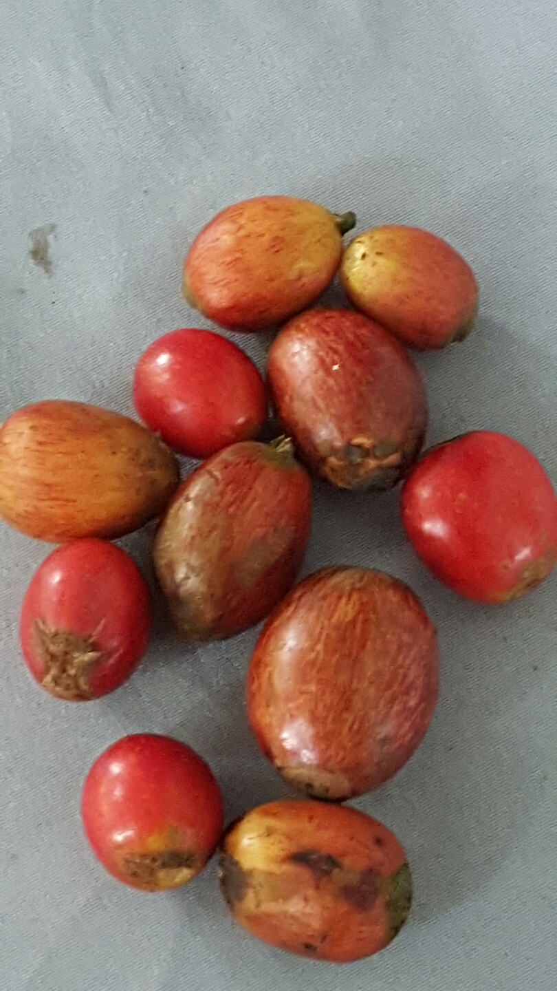 1948697120_RrXk4wls_ff51af653ccd830a0db6a7c7a8de896794add69b.jpg 이미지크게보기