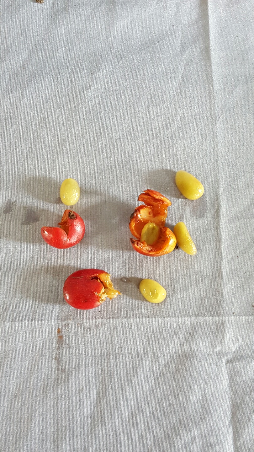 1948697120_S6QfevKk_108aad637e0fdf5b51108319dbbe2a5596337d27.jpg 이미지크게보기