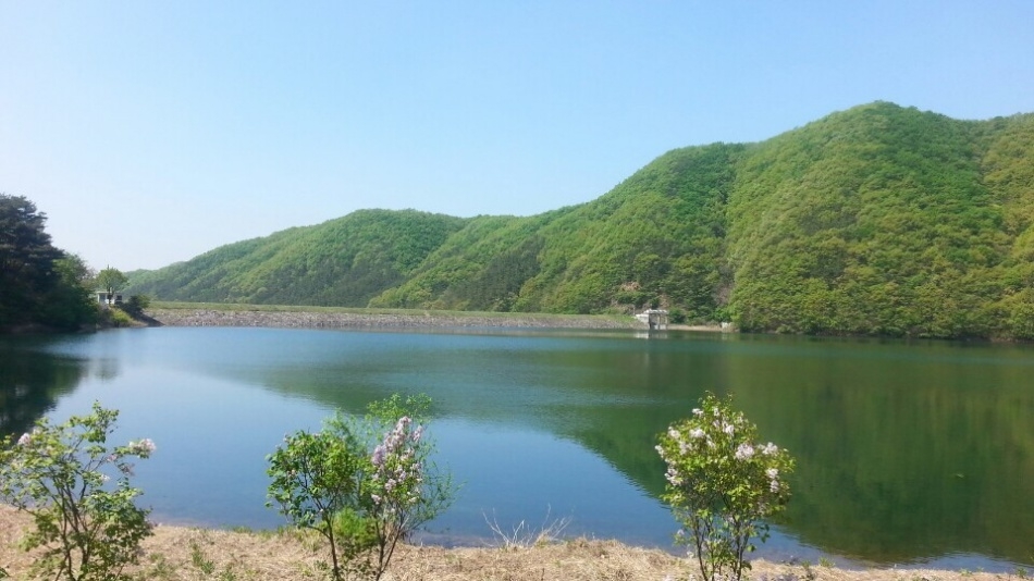 1948697120_cgu6yOI7_d59d91f745ed03787749623d4e3041b07a910774.jpg 이미지크게보기