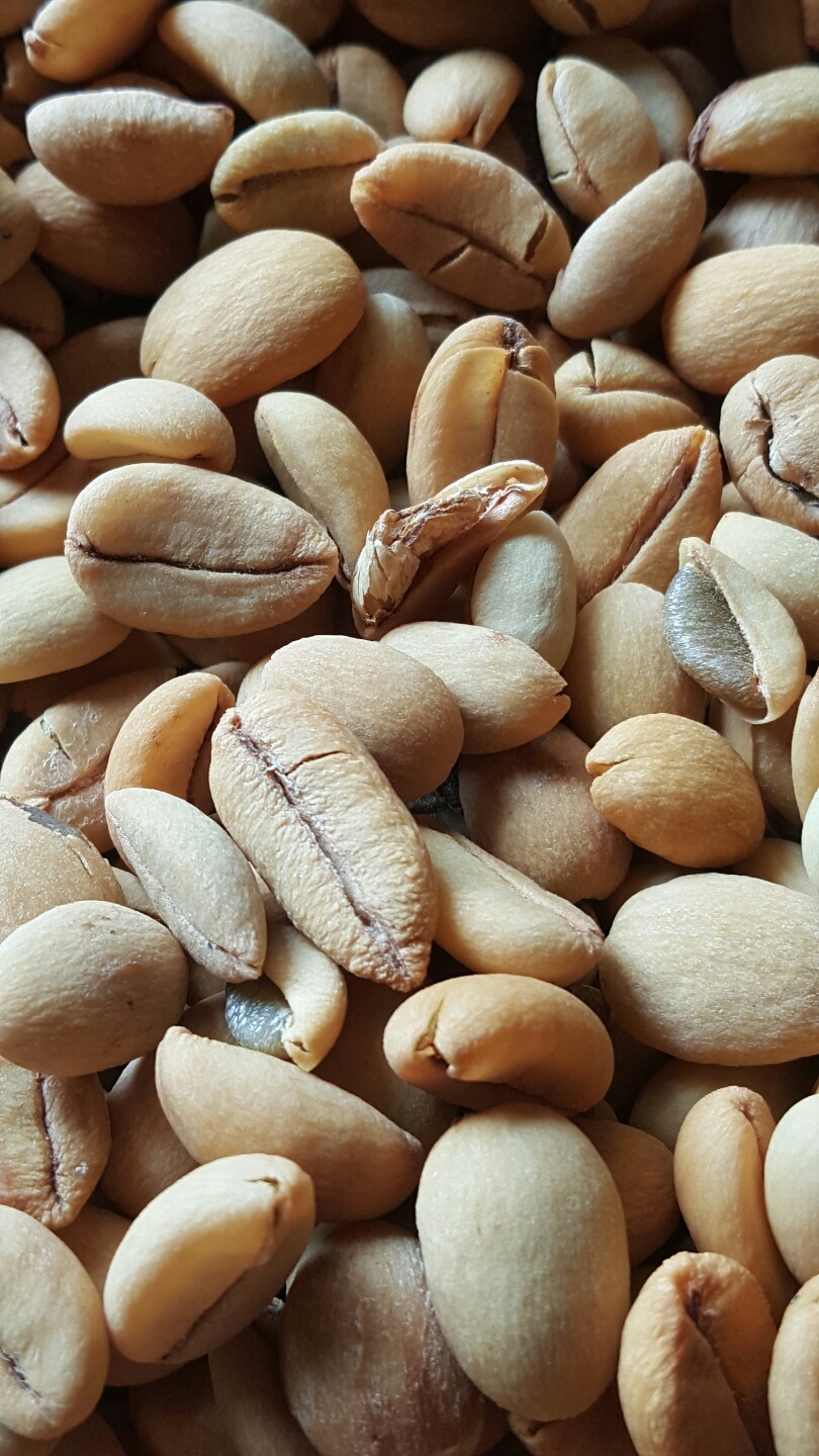 1948697120_dPLgKrNj_c5f6930fd9be637cbb46e53d5de9298df16bddc5.jpg 이미지크게보기