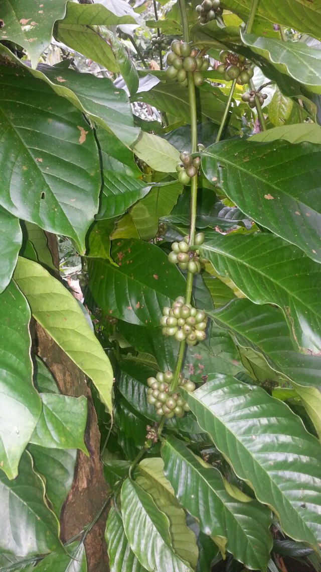 1948697120_rY0h9t4P_43339ec9d6950818ed9778438577e844d175af28.jpg 이미지크게보기